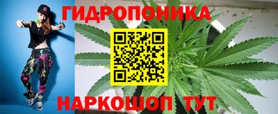 ПСИЛОЦИБИНОВЫЕ ГРИБЫ Бузулук