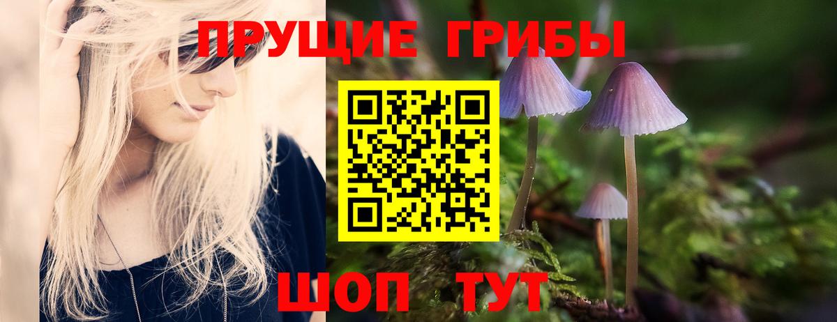 Галлюциногенные грибы Magic Shrooms  Псилоцибиновые грибы GOLDEN TEACHER  Вход с VPN  Острогожск 