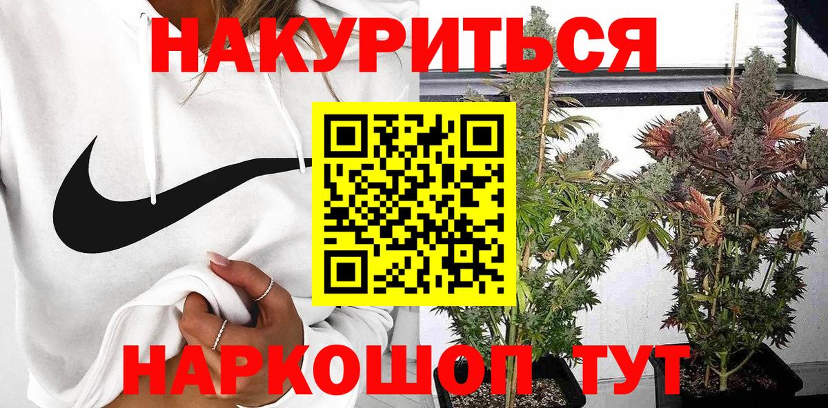 Конопля сатива  Канабис VHQ  Острогожск  Вход с VPN  Бошки марихуана ГИДРОПОН 